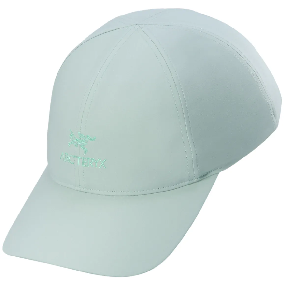 Bird Word - Adult Adjustable Cap