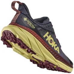 Challenger 7 GTX - Women's Trail Running Shoes