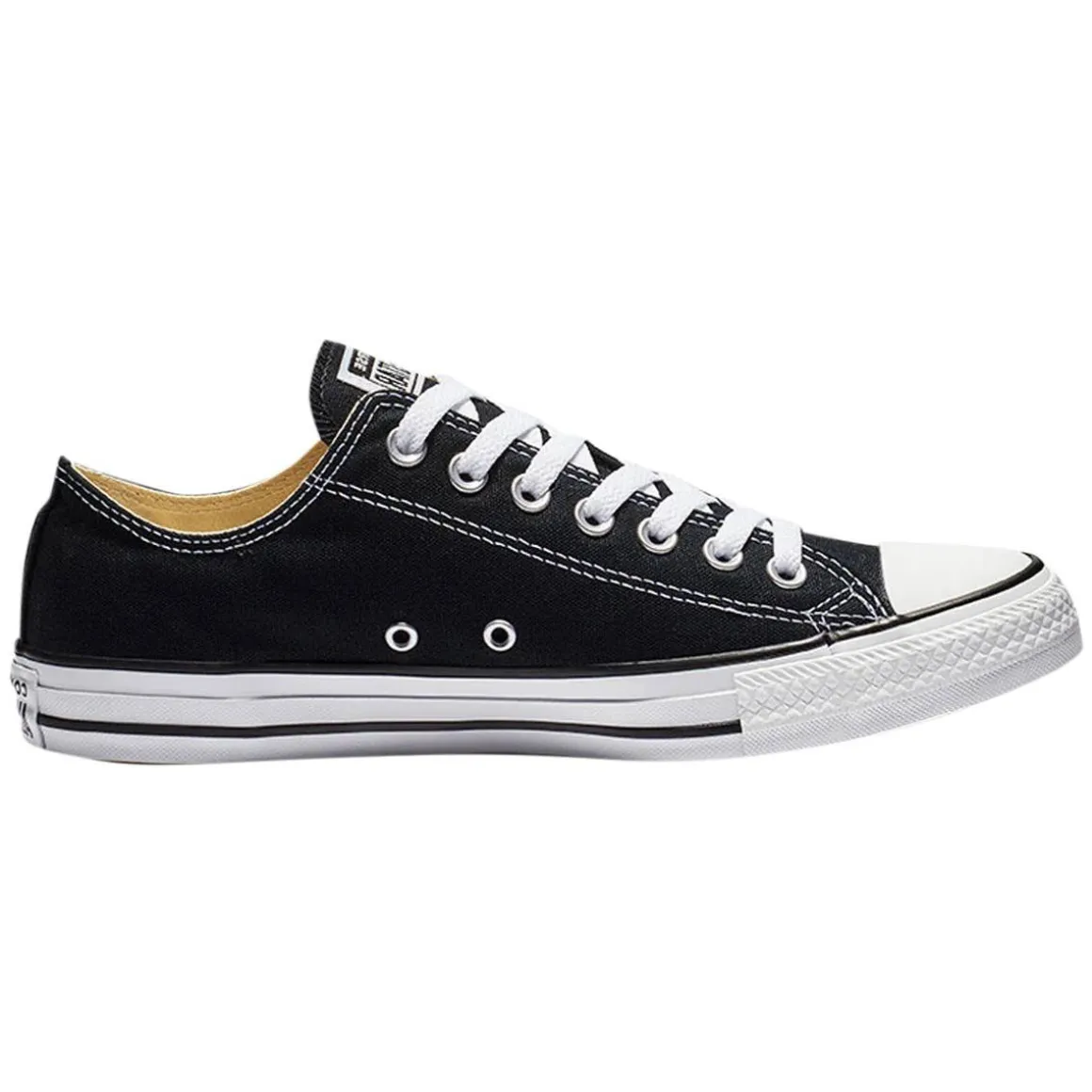 CT All Star Low Top - Adult Fashion Shoes