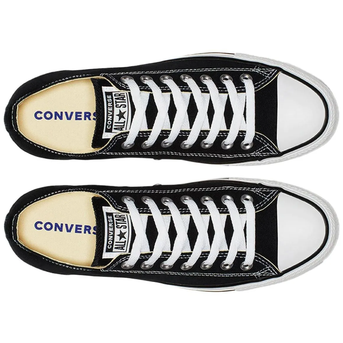 CT All Star Low Top - Adult Fashion Shoes
