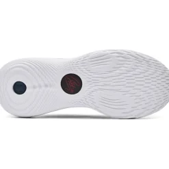 Curry 11 Champion Mindset - Adult Basketball Shoes