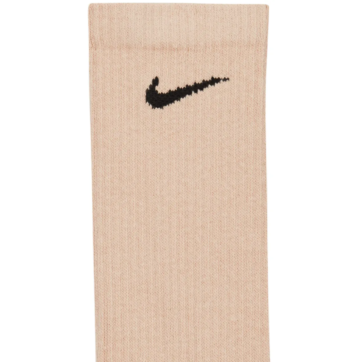 Everyday Plush (Pack of 6 pairs) - Adult Cushioned Socks