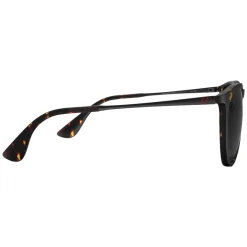 North Park - Adult Sunglasses